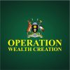 Operation Wealth Creation